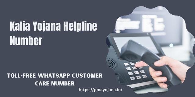 Odisha KALIA Yojana Helpline Number