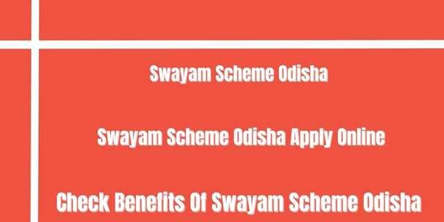 Swayam Scheme Odisha 